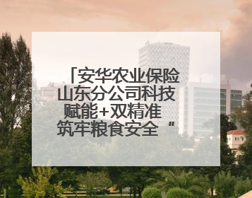 安华农业保险山东分公司科技赋能+双精准 筑牢粮食安全“稳定器”