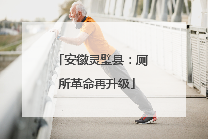 安徽灵璧县：厕所革命再升级