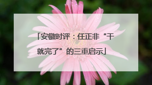 安徽时评：任正非“干就完了”的三重启示