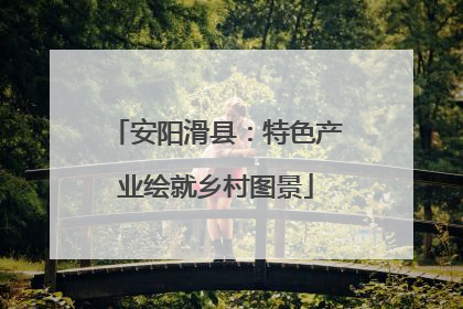 安阳滑县：特色产业绘就乡村图景