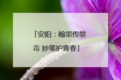 安阳：翰墨传禁毒 妙笔护青春
