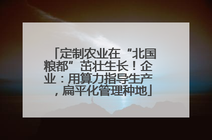 定制农业在“北国粮都”茁壮生长！企业：用算力指导生产，扁平化管理种地