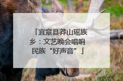 宜章县莽山瑶族乡:文艺晚会唱响民族“好声音”
