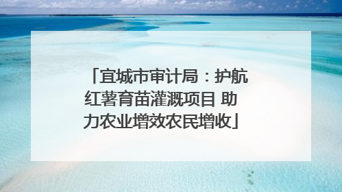 宜城市审计局：护航红薯育苗灌溉项目 助力农业增效农民增收