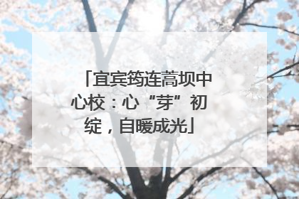 宜宾筠连蒿坝中心校：心“芽”初绽，自暖成光