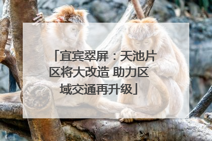 宜宾翠屏：天池片区将大改造 助力区域交通再升级