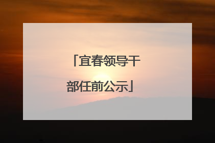 宜春领导干部任前公示