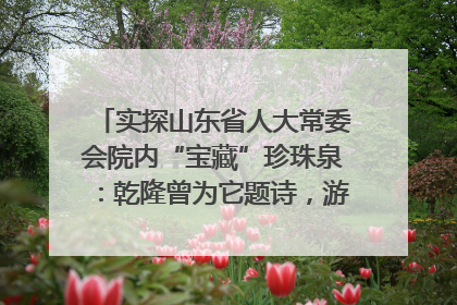 实探山东省人大常委会院内“宝藏”珍珠泉：乾隆曾为它题诗，游客无需预约免费游览