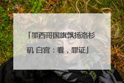墨西哥国旗飘扬洛杉矶 白宫：看，罪证