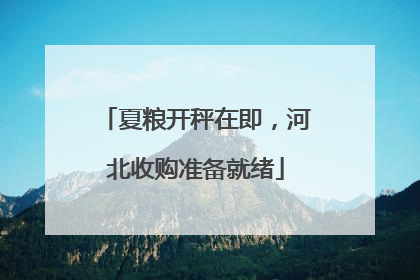夏粮开秤在即，河北收购准备就绪