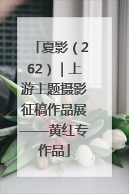 夏影（262）｜上游主题摄影征稿作品展——黄红专作品