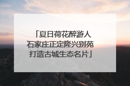 夏日荷花醉游人 石家庄正定隆兴别苑打造古城生态名片