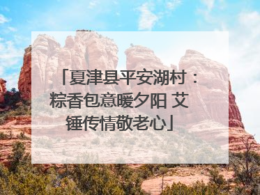 夏津县平安湖村：粽香包意暖夕阳 艾锤传情敬老心