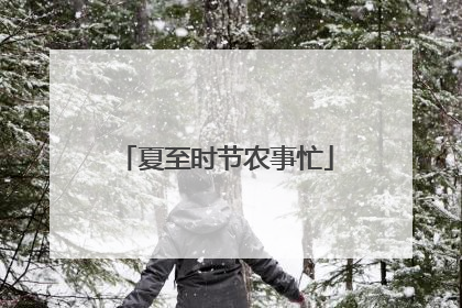 夏至时节农事忙