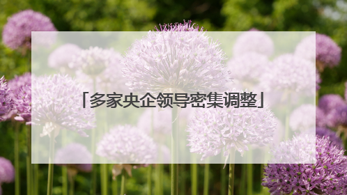 多家央企领导密集调整