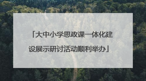 大中小学思政课一体化建设展示研讨活动顺利举办