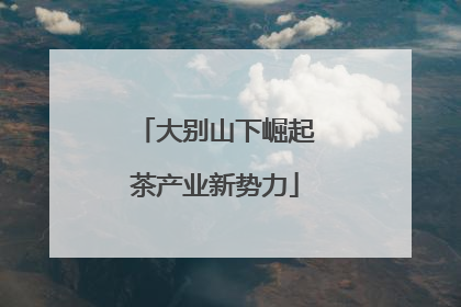 大别山下崛起茶产业新势力