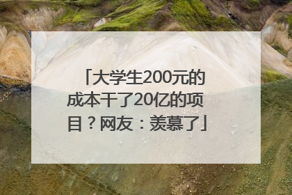 大学生200元的成本干了20亿的项目？网友：羡慕了
