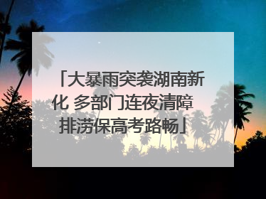 大暴雨突袭湖南新化 多部门连夜清障排涝保高考路畅