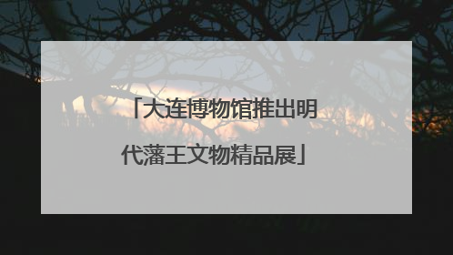 大连博物馆推出明代藩王文物精品展