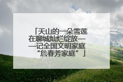 天山的一朵雪莲在聊城灿烂绽放——记全国文明家庭“詹春芳家庭”
