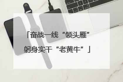 奋战一线“领头雁” 躬身实干“老黄牛”