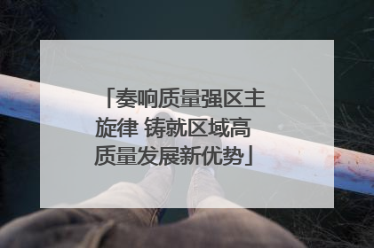 奏响质量强区主旋律 铸就区域高质量发展新优势