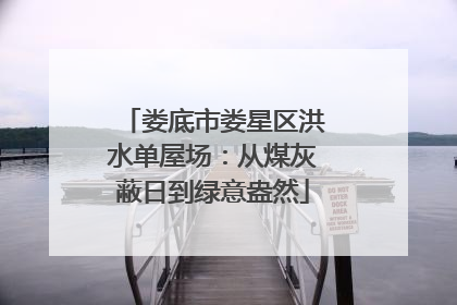 娄底市娄星区洪水单屋场：从煤灰蔽日到绿意盎然