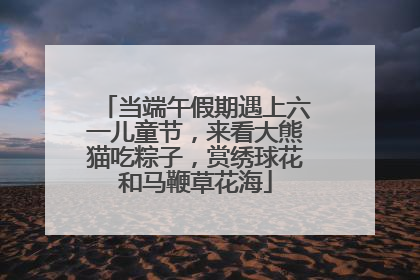 当端午假期遇上六一儿童节，来看大熊猫吃粽子，赏绣球花和马鞭草花海