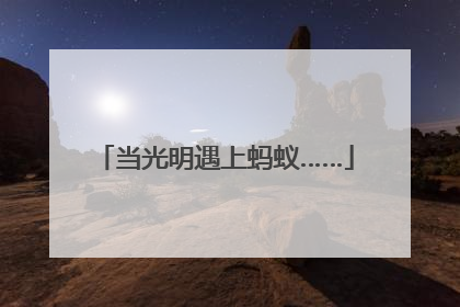 当光明遇上蚂蚁……