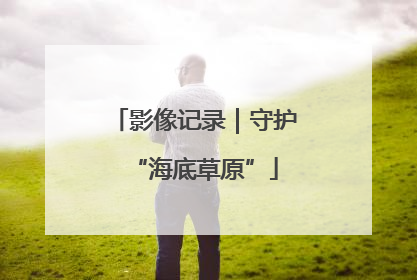 影像记录｜守护“海底草原”