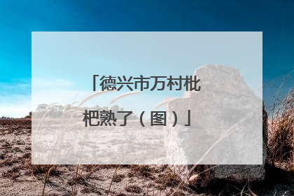 德兴市万村枇杷熟了（图）