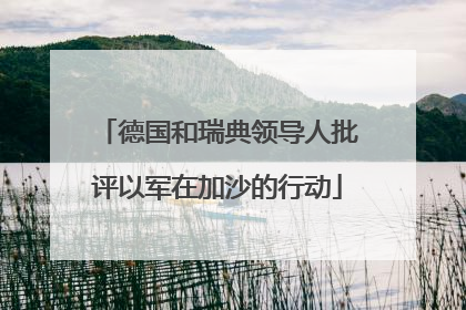 德国和瑞典领导人批评以军在加沙的行动