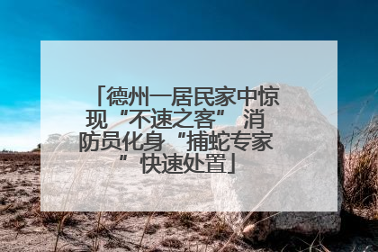 德州一居民家中惊现“不速之客” 消防员化身“捕蛇专家”快速处置