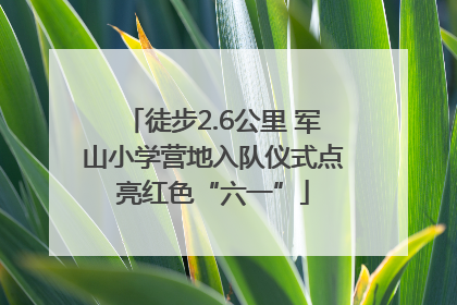 徒步2.6公里 军山小学营地入队仪式点亮红色“六一”