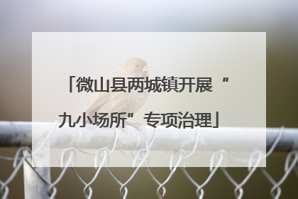 微山县两城镇开展“九小场所”专项治理