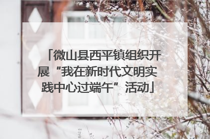 微山县西平镇组织开展“我在新时代文明实践中心过端午”活动