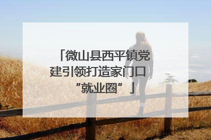 微山县西平镇党建引领打造家门口“就业圈”