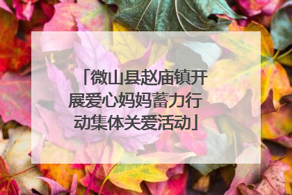 微山县赵庙镇开展爱心妈妈蓄力行动集体关爱活动