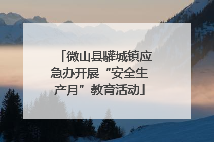微山县驩城镇应急办开展“安全生产月”教育活动