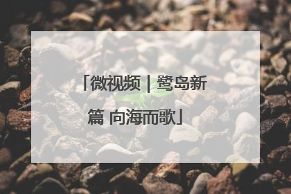 微视频｜鹭岛新篇 向海而歌