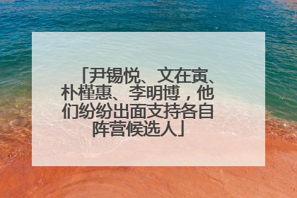 尹锡悦、文在寅、朴槿惠、李明博，他们纷纷出面支持各自阵营候选人