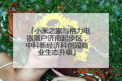 小米之家与格力电器落户济南起步区，中科新经济科创园商业生态升级