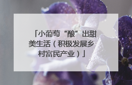 小葡萄“酿”出甜美生活（积极发展乡村富民产业）