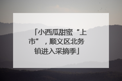 小西瓜甜蜜“上市”，顺义区北务镇进入采摘季