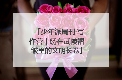 少年派周刊·写作营｜绣在武陵褶皱里的文明长卷