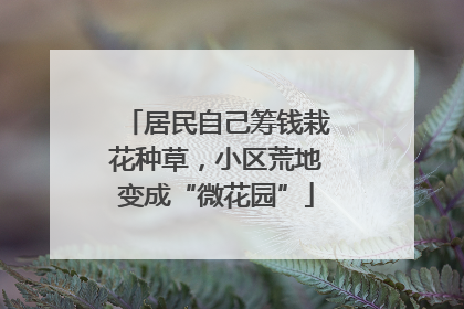 居民自己筹钱栽花种草，小区荒地变成“微花园”