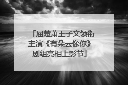 屈楚萧王子文领衔主演《有朵云像你》剧组亮相上影节