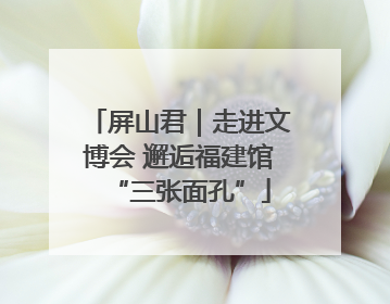 屏山君｜走进文博会 邂逅福建馆“三张面孔”