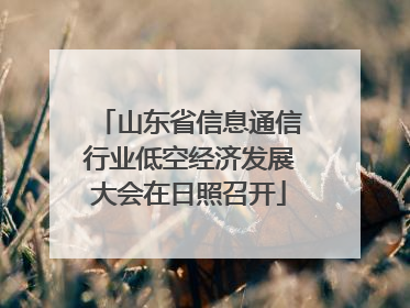 山东省信息通信行业低空经济发展大会在日照召开